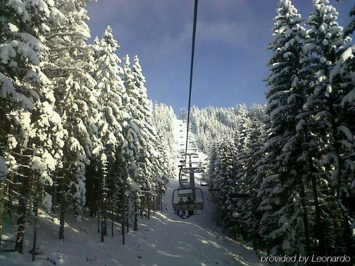 Drei Hasen Hotel 3*
